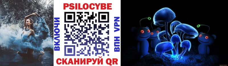 магазин наркотиков Среднеколымск Псилоцибиновые грибы мухоморы